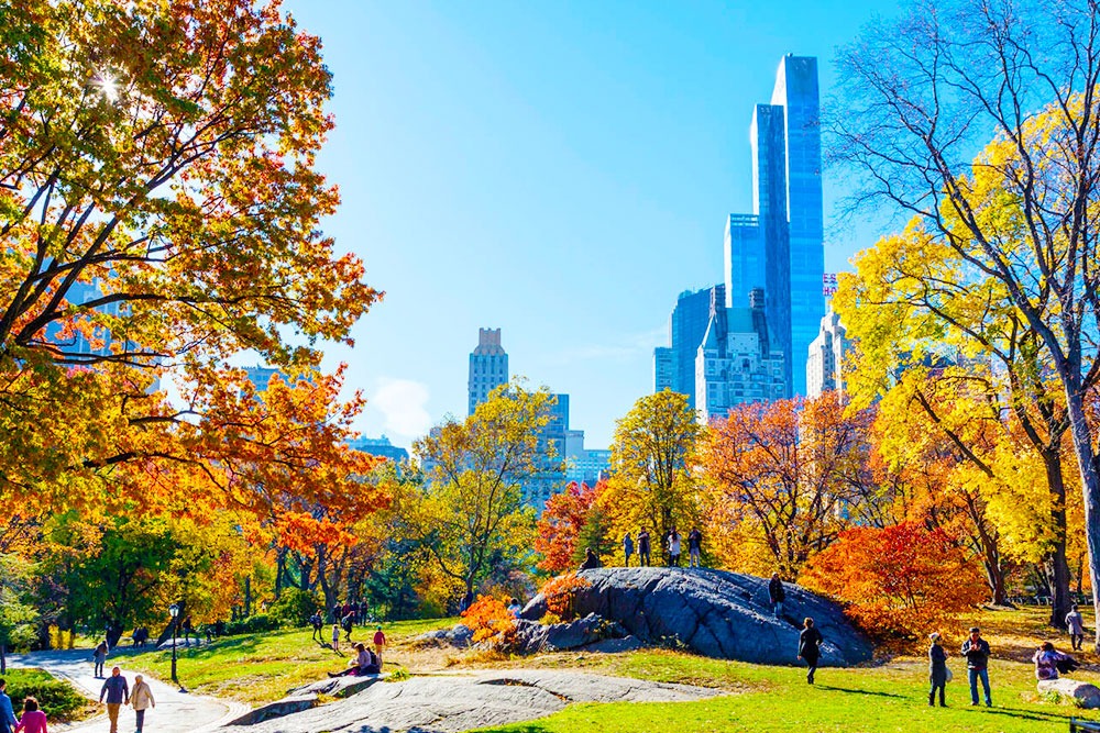 Central Park, New York City - Cheapest Time