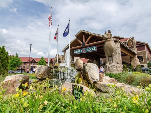 Cheapest Time to Go to Great Wolf Lodge - Cheapest Time